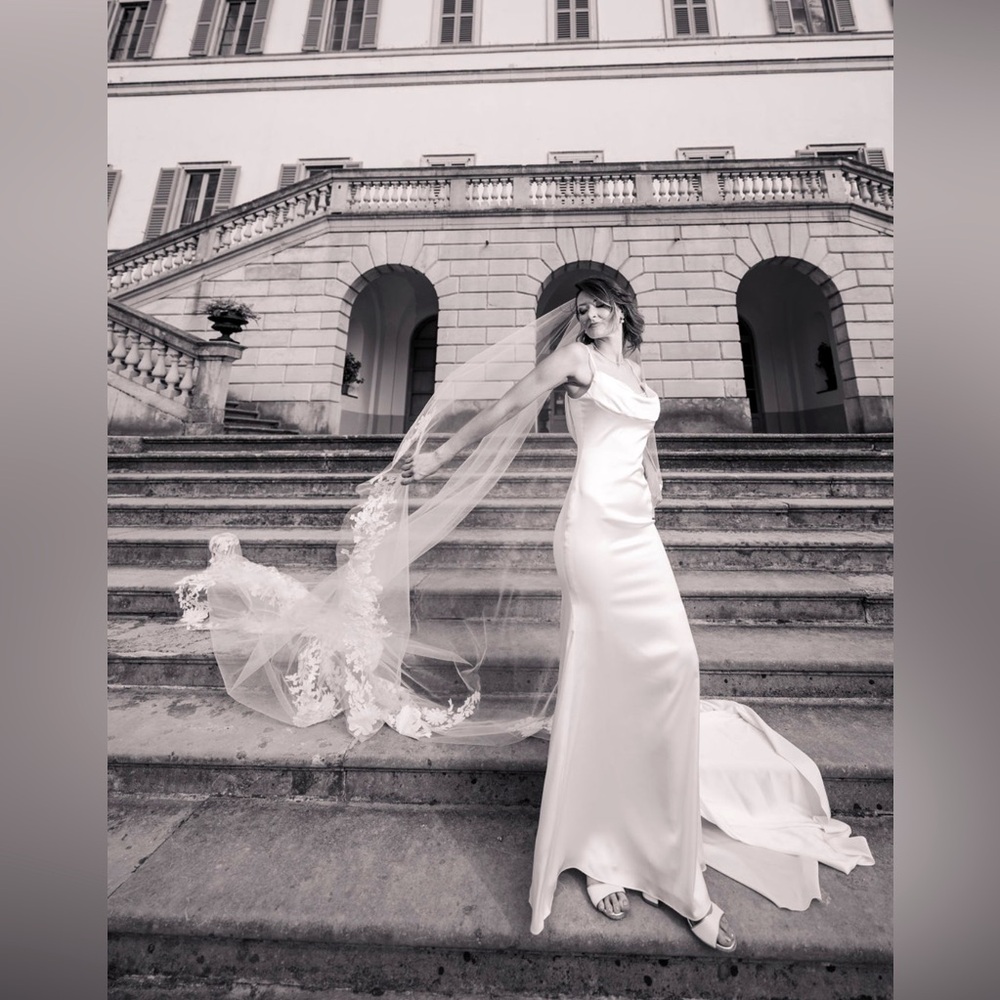 Pronovias ASH wedding dress + matching veil